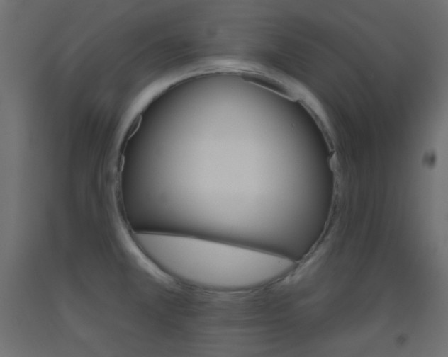 X0000093521381200710121119