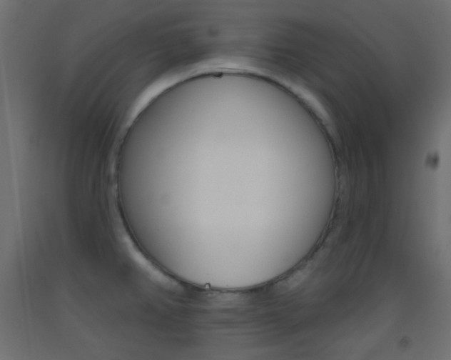 X0000093521382200710121119