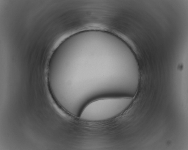 X0000093521383200710121119