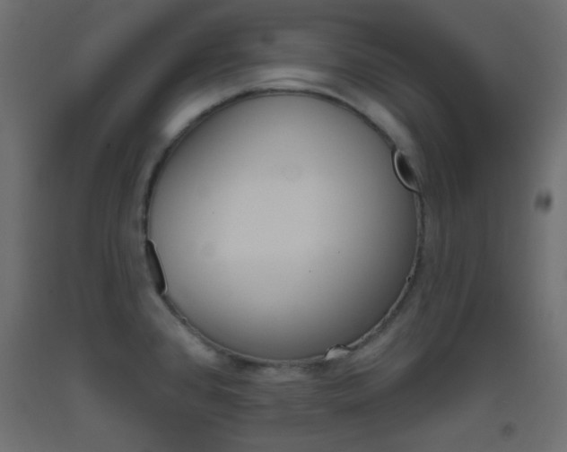 X0000093521384200710121119