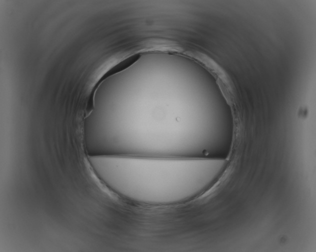 X0000093521385200710121119