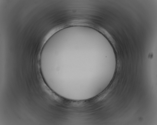 X0000093521386200710121119
