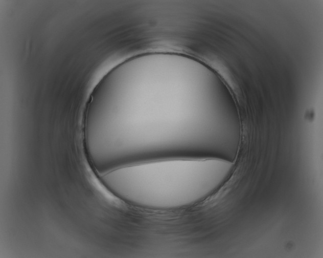 X0000093521387200710121119