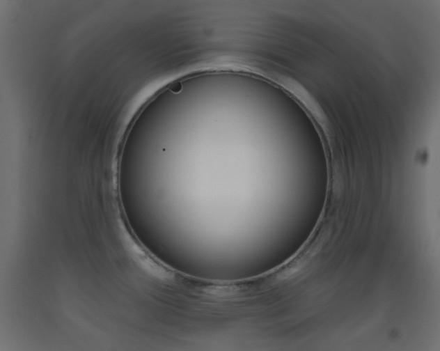 X0000093521388200710121118