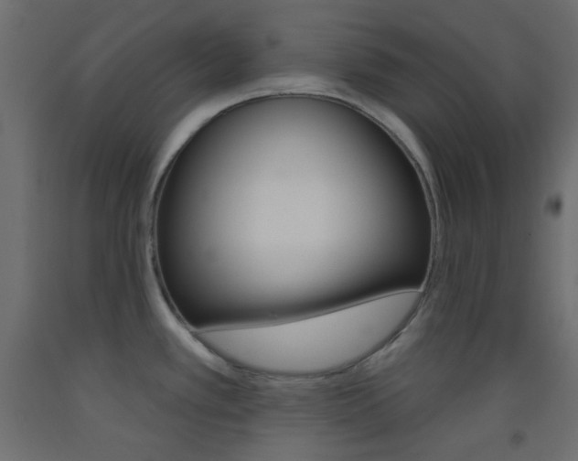 X0000093521389200710121118