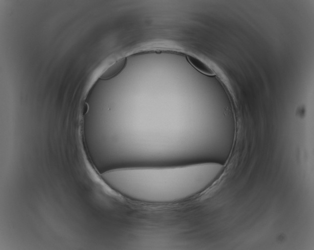 X0000093521390200710121118