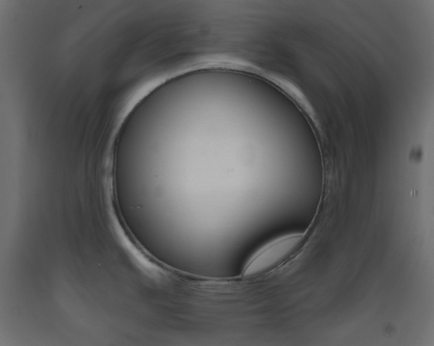 X0000093521391200710121118