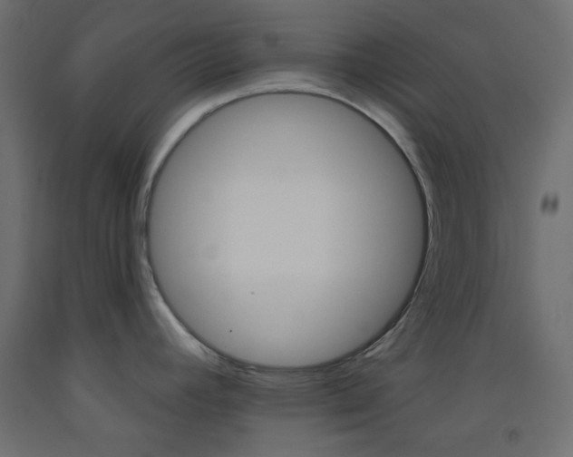 X0000093521392200710121118