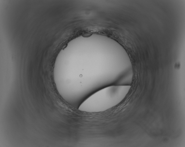 X0000093521393200710121118