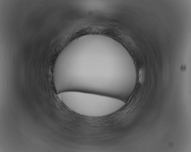 X0000093521395200710121118
