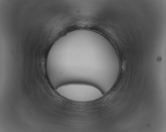 X0000093521396200710121118