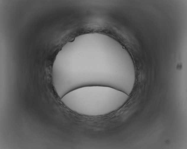X0000093521397200710121118