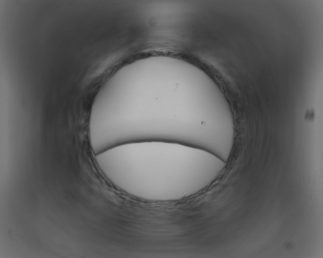 X0000093521399200710121118