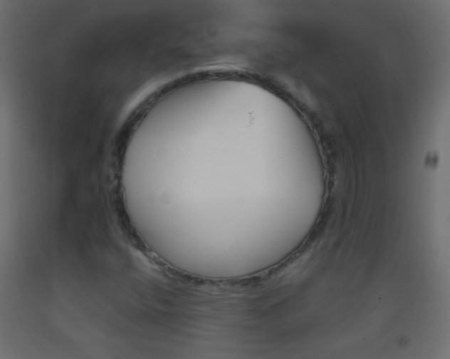 X0000093521400200710121118