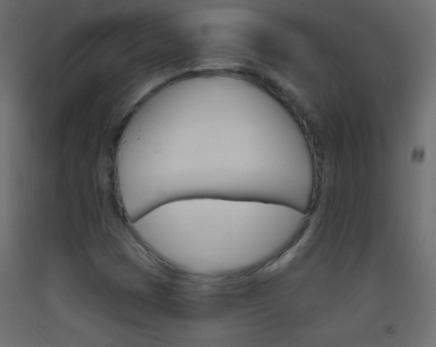 X0000093521401200710121118
