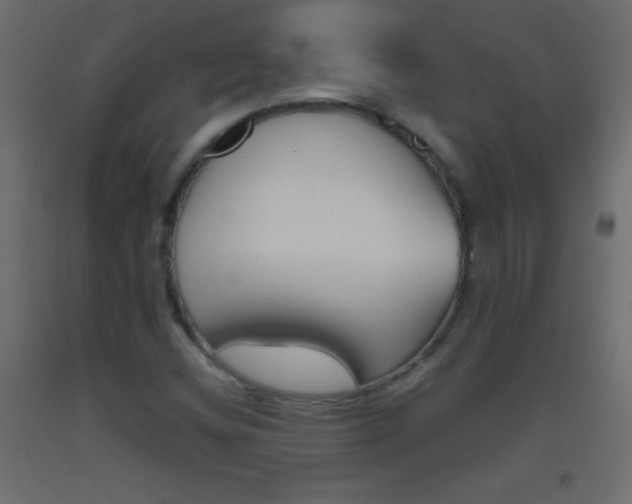 X0000093521404200710121118