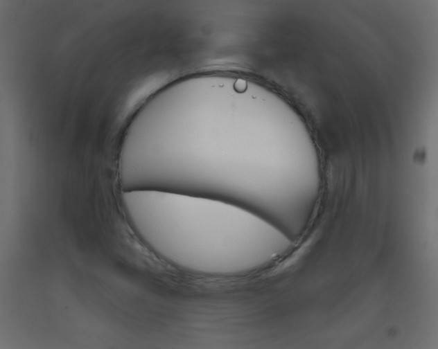 X0000093521405200710121118
