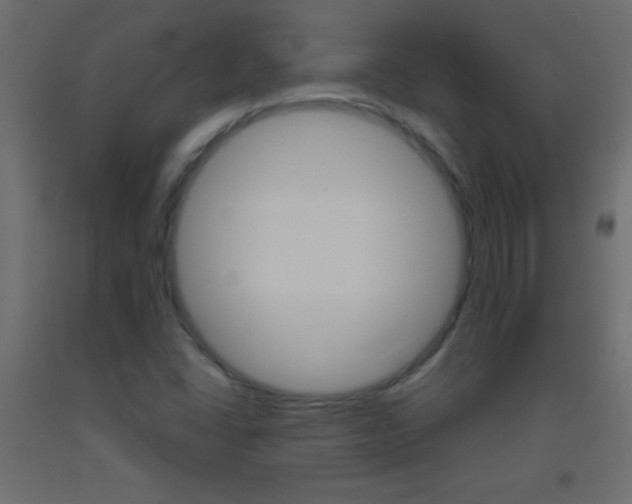 X0000093521406200710121118