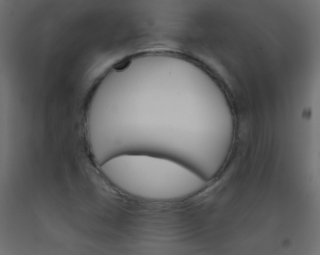 X0000093521407200710121118