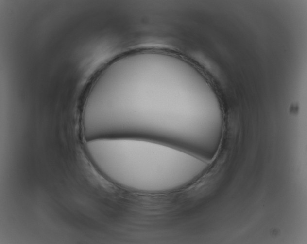 X0000093521408200710121118