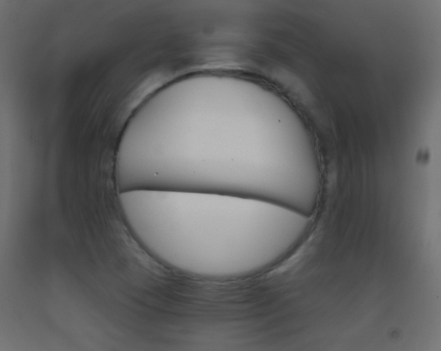 X0000093521409200710121118