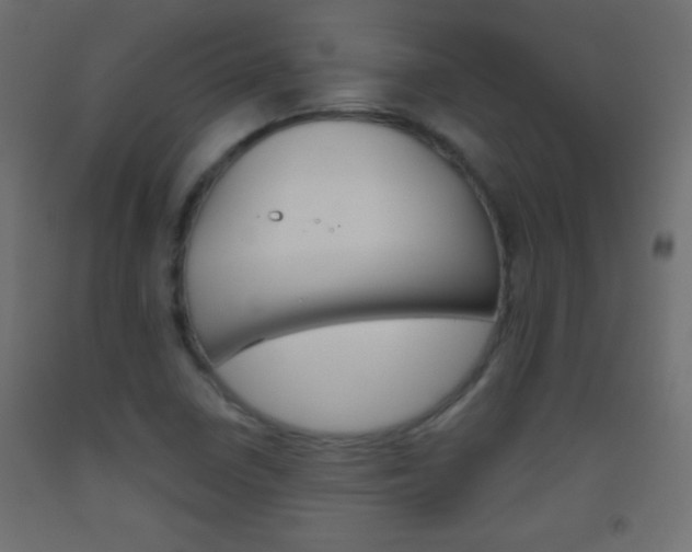 X0000093521410200710121118