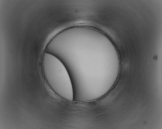 X0000093521413200710121118