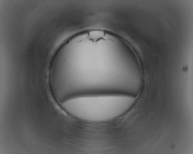 X0000093521416200710121118