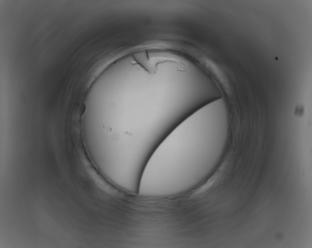 X0000093521417200710121118