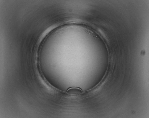 X0000093521418200710121118