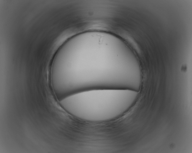 X0000093521419200710121118