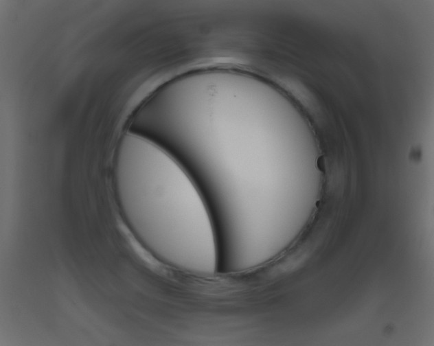 X0000093521420200710121118