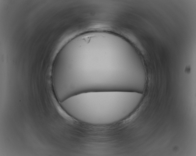 X0000093521421200710121118
