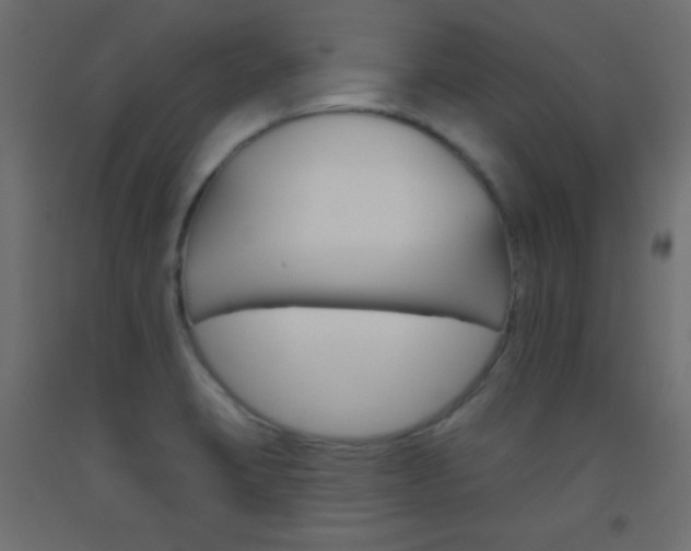 X0000093521423200710121118