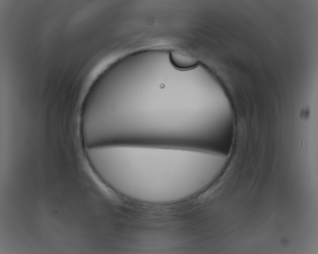 X0000093521424200710121118