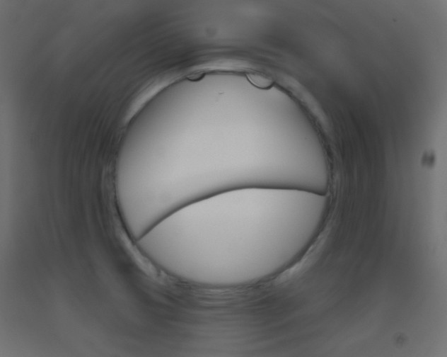 X0000093521425200710121118