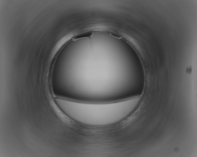 X0000093521426200710121118