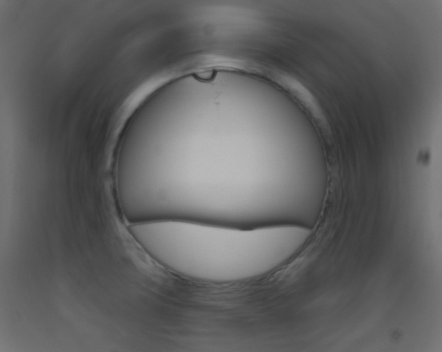 X0000093521427200710121118