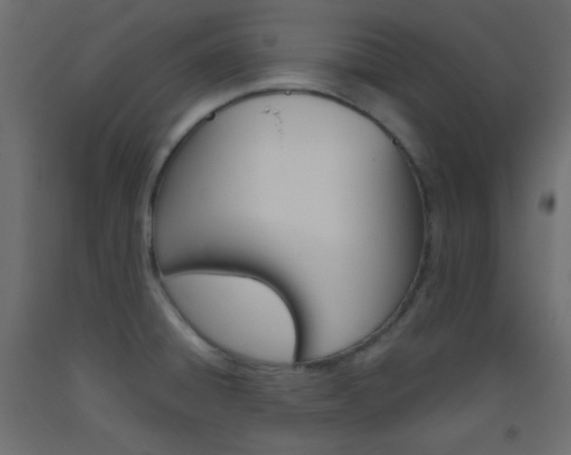 X0000093521428200710121118