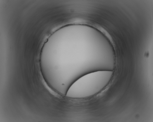 X0000093521429200710121118