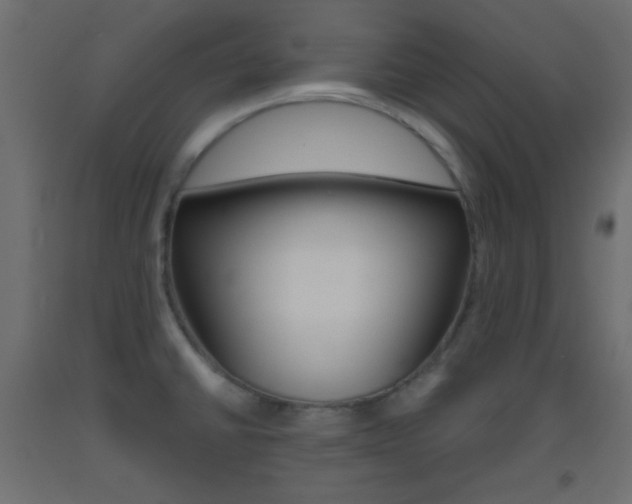 X0000093521430200710121118