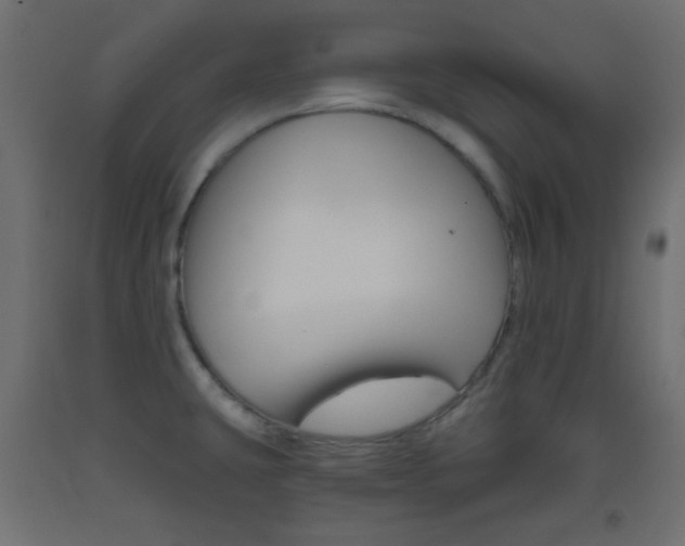 X0000093521431200710121118