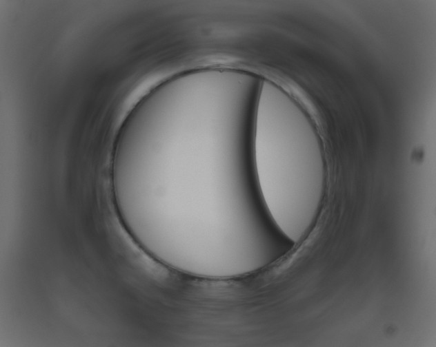 X0000093521432200710121118