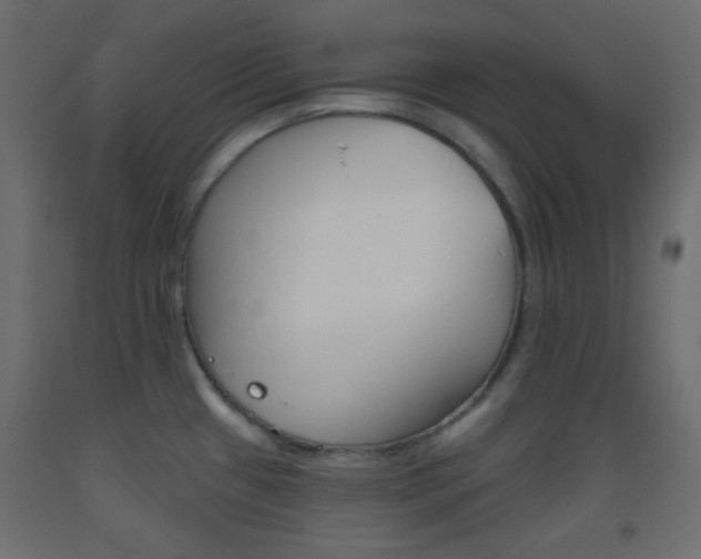 X0000093521433200710121118
