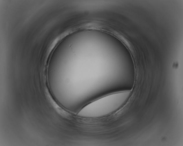 X0000093521434200710121118