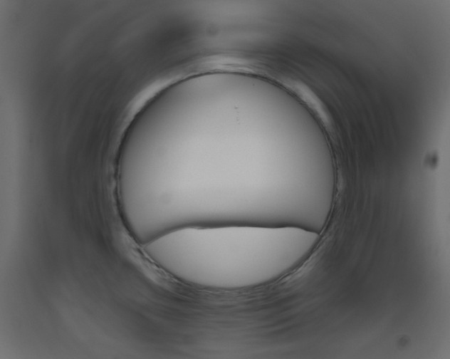 X0000093521435200710121118