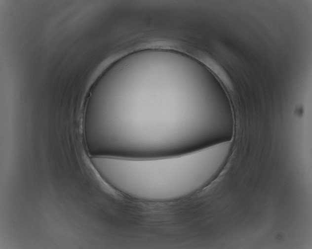 X0000093521436200710121118