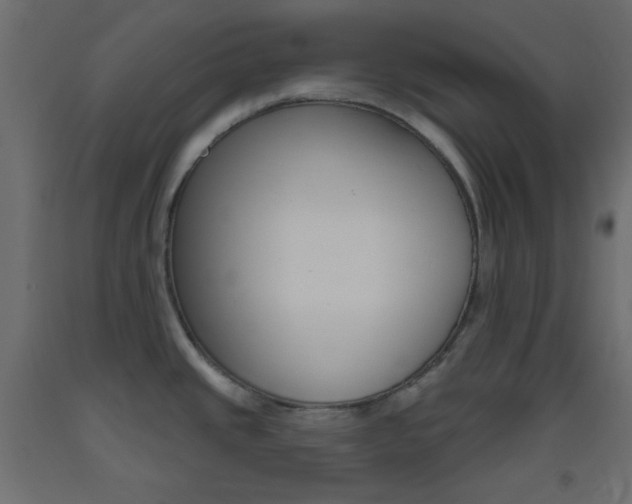 X0000093521437200710121118