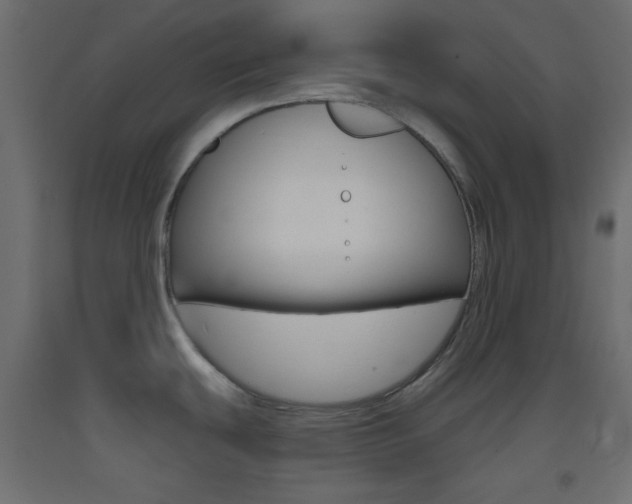 X0000093521439200710121118