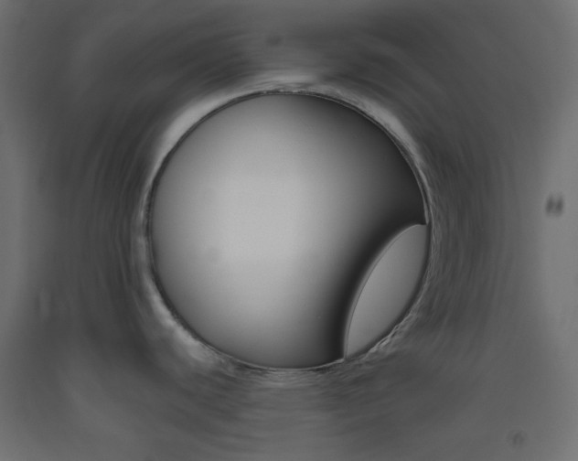 X0000093521440200710121118